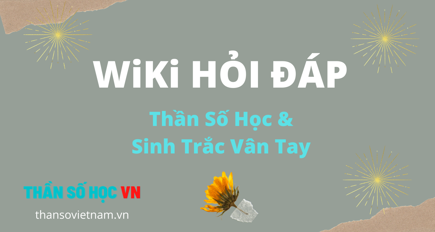 Hỏi Đáp Thần Số Học Hỏi Đáp Thần Số Học Và Sinh Trắc Vân Tay