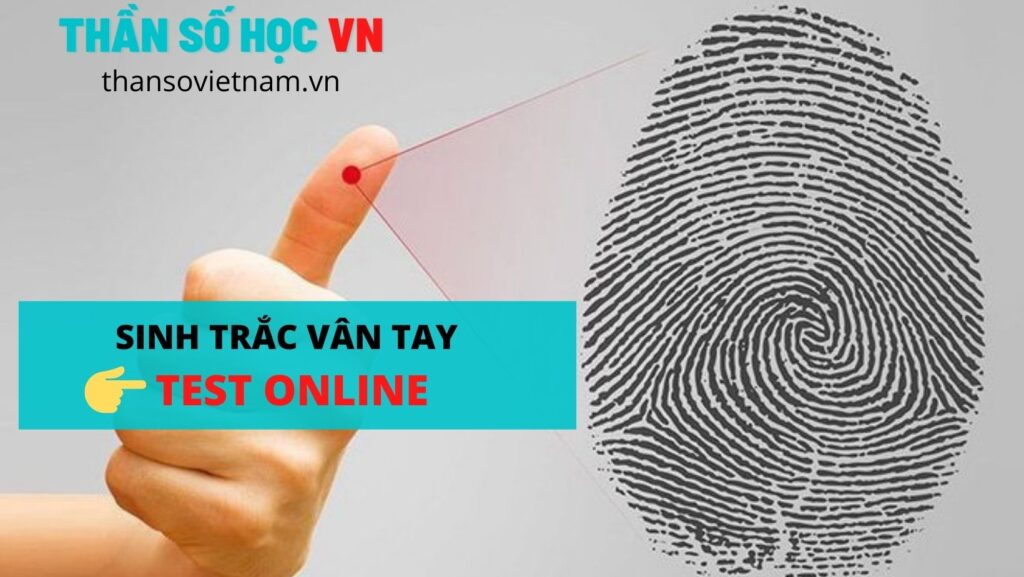 Test Sinh Trắc Vân Tay Online Test Sinh Trắc Vân Tay Online