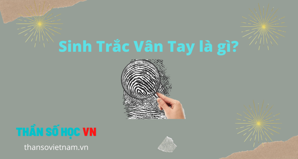 Sinh Trắc Vân Tay Là Gì? Sinh Trắc Vân Tay Là Gì?